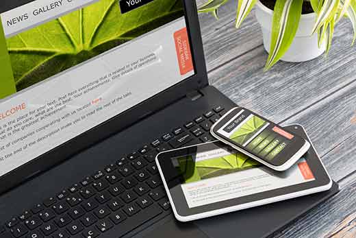 Как выбрать идеальную тему для WordPress – 9 факторов, которые стоит принять во внимание 17 responsive
